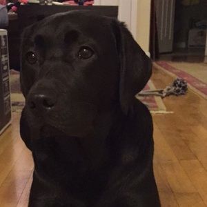 Meet your Posher, Philip